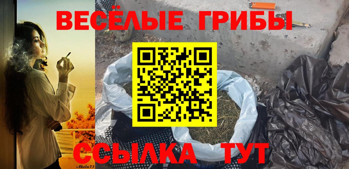 Псилоцибиновые грибы GOLDEN TEACHER  наркота  Ступино  Вход с VPN 