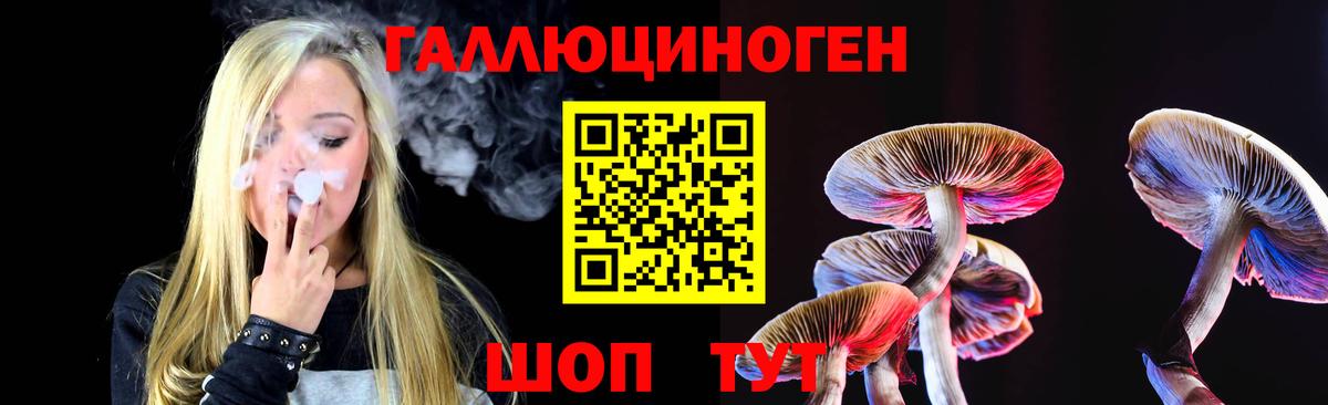 Псилоцибиновые грибы GOLDEN TEACHER Ступино